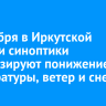 9 декабря в Иркутской области синоптики прогнозируют похолодание до -48 градусов