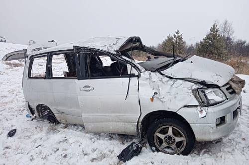 Водитель и женщина-пассажир погибли в ДТП в Приамурье