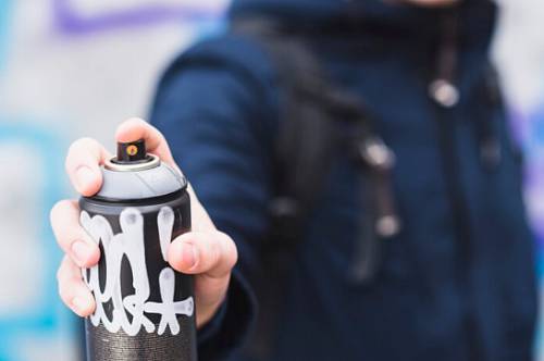 Амурчанку отправили в колонию за распыление перцового баллончика в лицо полицейским