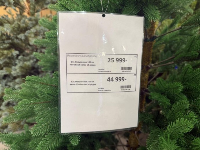 Ёлки‑палки! Во Владивостоке продавцы явно переоценили новогодний декор