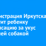 Администрация Иркутска выплатит ребенку компенсацию за укус бродячей собакой