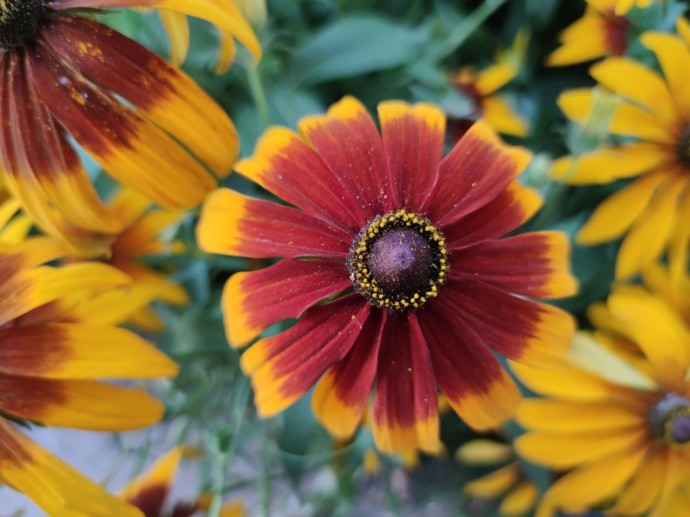 Придет ли в Башкирию второе бабье лето