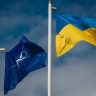 Посол Ерхов: в НАТО намерены сформировать структуру для контроля над Украиной