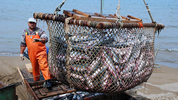 В ХМАО растет число уголовных дел за нарушения правил рыболовства