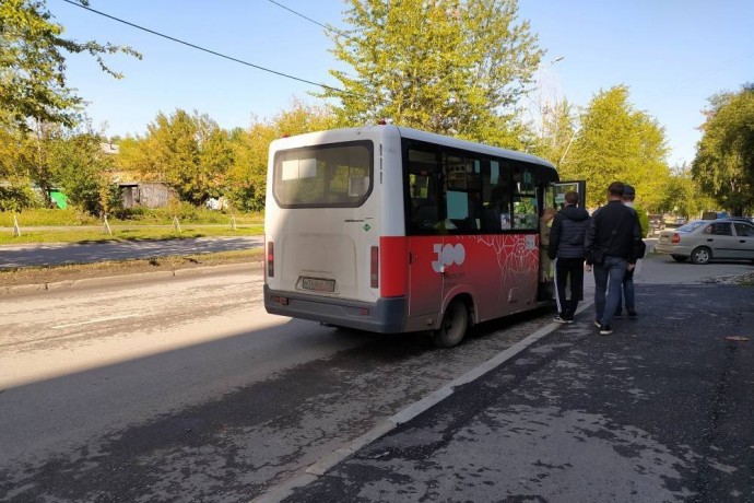 В Перми выбирают перевозчиков на 11 маршрутов с автобусами малого и среднего классов