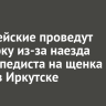 Полицейские проведут проверку из-за наезда велосипедиста на щенка корги в Иркутске