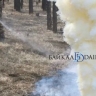 В лесах Забайкальского края ввели режим ЧС