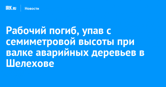Рабочий погиб, упав с семиметровой высоты при валке аварийных деревьев в Шелехове