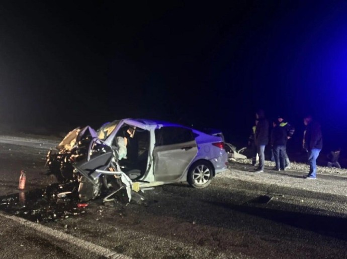 Найден владелец рогатого виновника смертельного ДТП под Астраханью