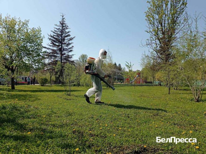 Более 900 белгородцев обратились к врачам из‑за укусов клещей в 2025 году