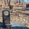 Кладбищем домашних животных в Приморье заинтересовалась прокуратура