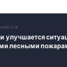 В Греции улучшается ситуация с крупными лесными пожарами