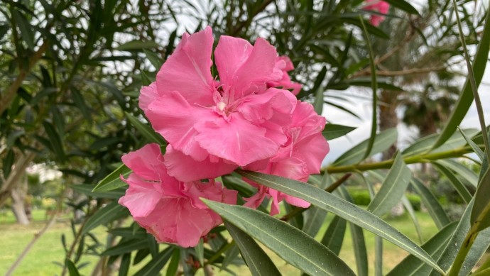 В Башкирии погода в конце октября, ноябре и декабре будет аномальной В Башкирии погода в конце октября, ноябре и декабре будет аномальной