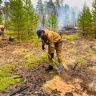 Более 40 лесных пожаров потушили с начала мая в Якутии