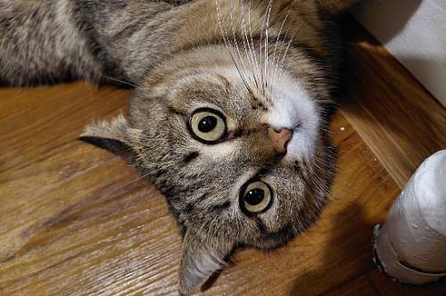 Овнам придется прятаться от друзей, Скорпионам день вам покажется наихудшим в жизни