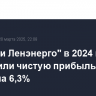 "Россети Ленэнерго" в 2024 году увеличили чистую прибыль по МСФО на 6,3%
