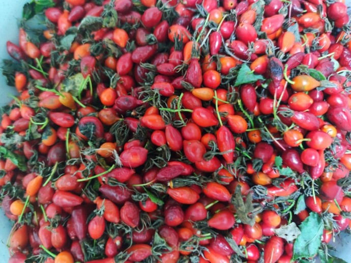 Вкусный детокс и кладезь витаминов: топ-7 осенних суперфудов для жителей Башкирии