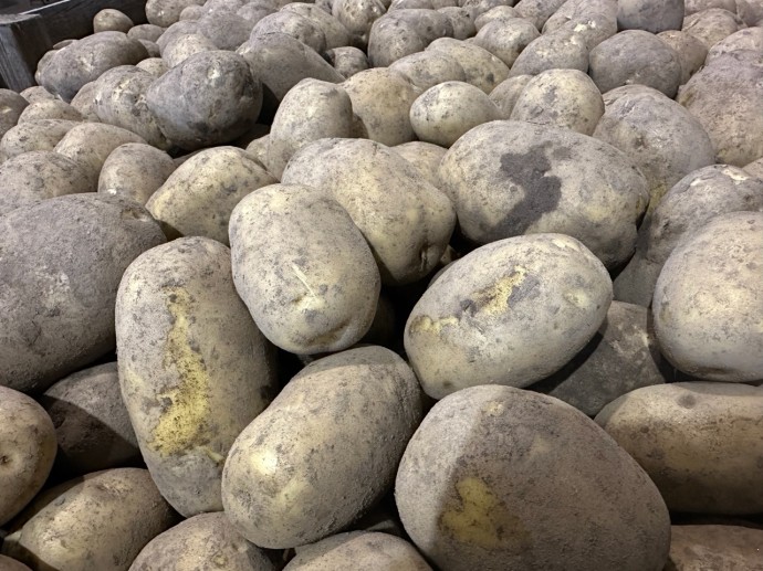 Костромичам раскрыли адреса мест, где можно купить продукты со скидкой до 20 процентов Костромичам раскрыли адреса мест, где можно купить продукты со скидкой до 20 процентов