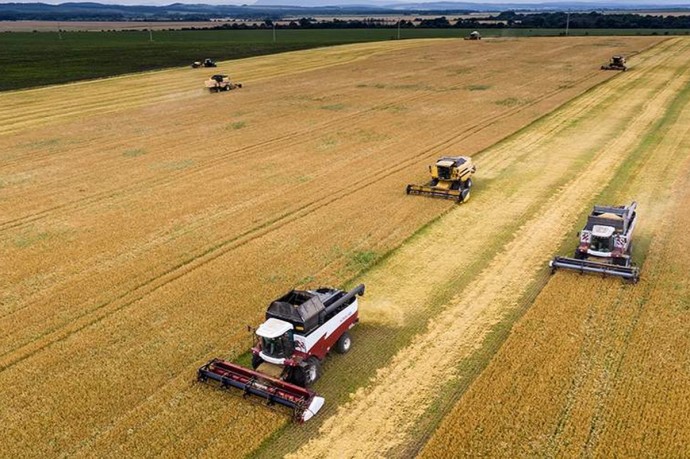 Малые формы хозяйств — важный вклад в развитие сельского хозяйства Мордовии Малые формы хозяйств — важный вклад в развитие сельского хозяйства Мордовии