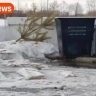 В Моховой Пади обнаружили «последнюю» выброшенную новогоднюю елку