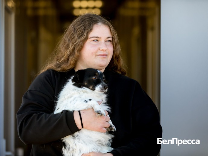 Тишкино чудо. Приют для животных в Яковлевском округе возобновил работу после атаки БПЛА