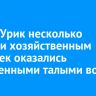 В селе Урик несколько домов и хозяйственным построек оказались затопленными талыми водами