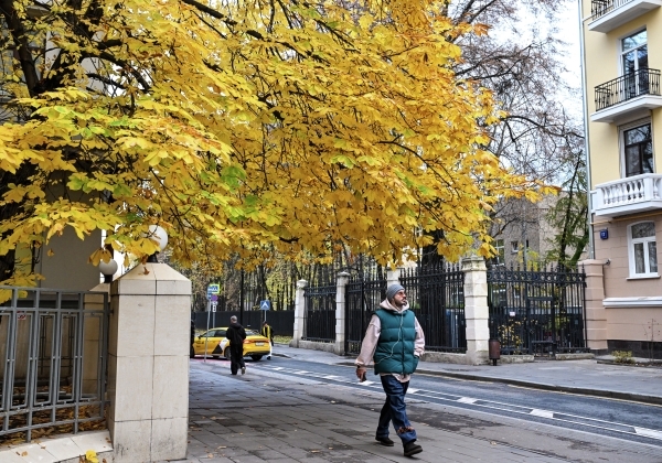 Евгений Тишковец назвал минувшую ночь в Москве по-настоящему «майской»