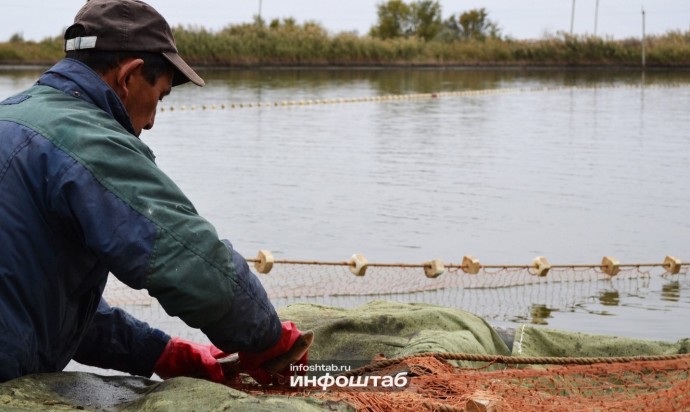 Астраханские рыбаки отменили по суду резкий рост аренды за причал