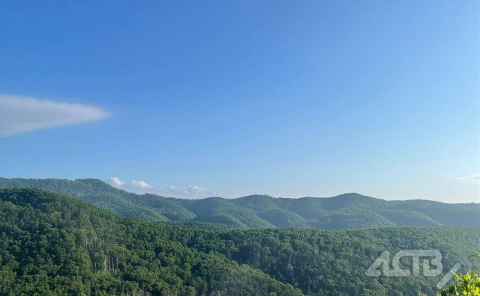 Пасмурно и небольшой дождь: прогноз погоды в Сахалинской области на 20 сентября