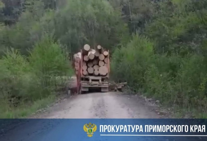Прокуратура Приморья взялась за главу района, в котором обрушился очередной мост