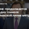 Ефимов: продолжается проходка тоннеля Бирюлевской линии метро