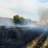 В Башкирии продолжается тушение пяти лесных пожаров