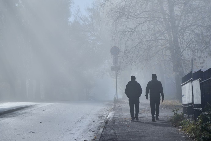 Густой туман накроет Пензенскую область этой ночью Густой туман накроет Пензенскую область этой ночью