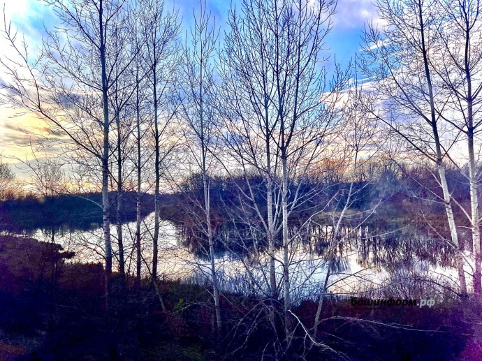 Башкирию окутает густой туман