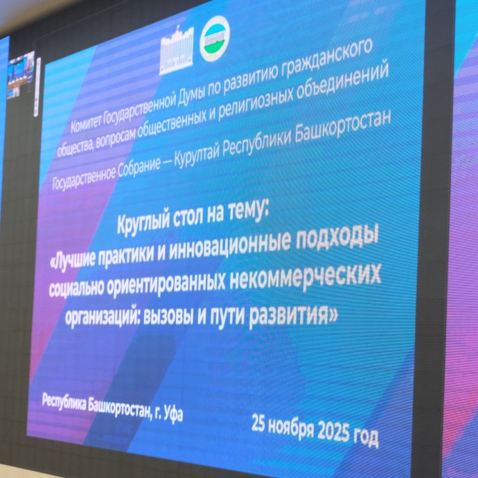Опыт Башкирии в сфере социально-ориентированных НКО представят в Госдуме