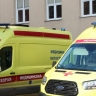 Пошел за березовым соком и встретил медведя: страшное ЧП в Башкирии