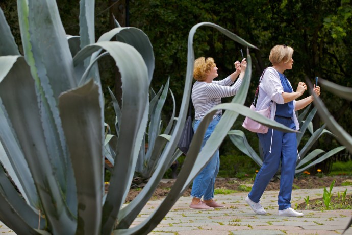 Спрос на отдых в санаториях вырос в августе на 22% Спрос на отдых в санаториях вырос в августе на 22%