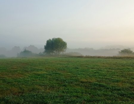 На Башкирию опустится густой туман На Башкирию опустится густой туман