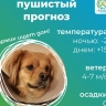 В Улан-Удэ комбинат по благоустройству начал метеоакцию добра