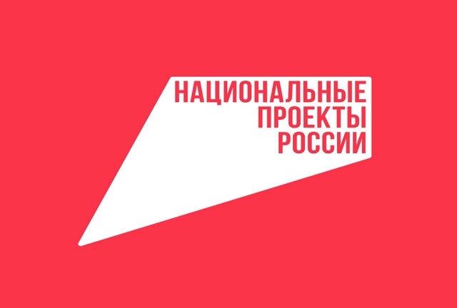 В рамках нацпроекта «Семья» оказывается поддержка многодетным семьям Мордовии