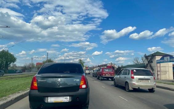 В Курской области участились случаи ДТП с участием диких животных