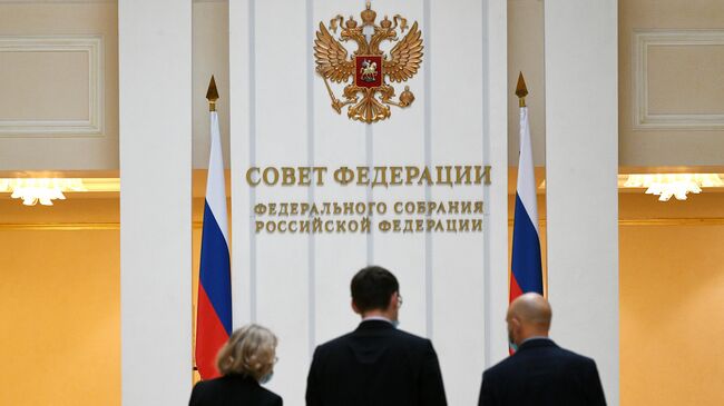 В СФ предложили запретить авиакомпаниям устанавливать нормы ручной клади