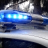 В Пензе 53-летняя женщина устроила пьяный дебош в баре