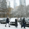 Специалист центра «Фобос» Тишковец рассказал о резком потеплении в Москве