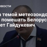 Литва темой метеозондов хочет помешать Белоруссии, считает Гайдукевич