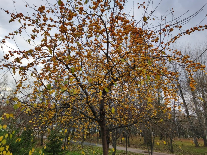 В Башкирии напомнили о шестидневной рабочей неделе В Башкирии напомнили о шестидневной рабочей неделе