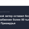 Штормовой ветер оставил без энергоснабжения более 80 тыс. жителей Приамурья
