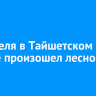 19 апреля в Тайшетском районе произошел лесной пожар