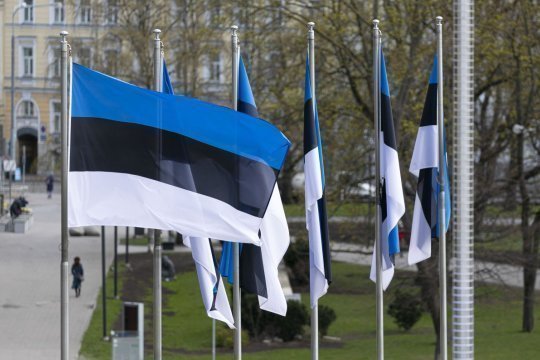 Премьер-министр Михал: власти Эстонии готовы отправить роту военных на Украину