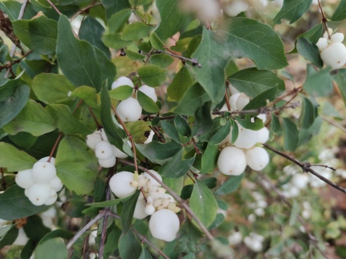 В Башкирии дали удивительный прогноз на вторую половину октября, ноябрь и декабрь